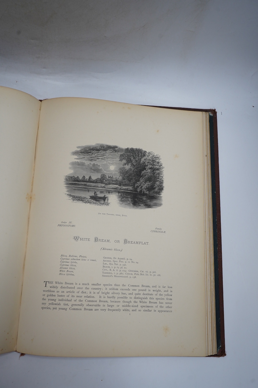 Houghton, Rev. W. - British Freshwater Fishes. 2 vols. 41 coloured plates (by A.F. Lydon) in naturalistic settings and engraved text illus.; original gilt pictorial and black decorated cloth, ge., folio. (1879)